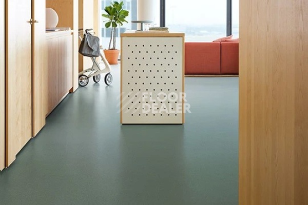 Линолеум FORBO SureStep balance 173632 bottle green фото 2 | FLOORDEALER